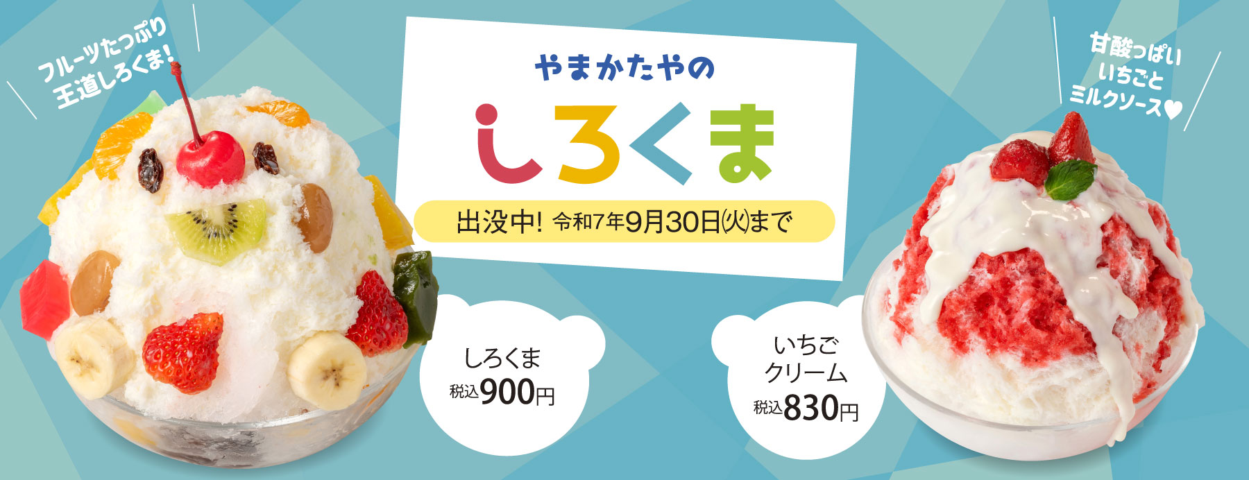 しろくま